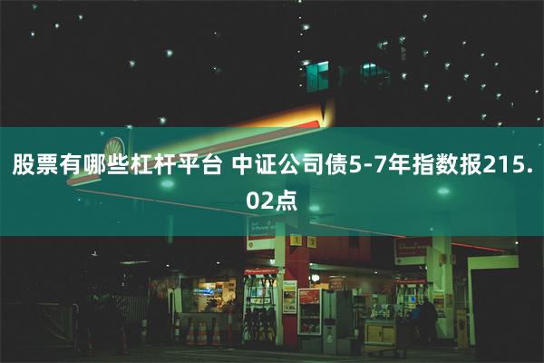 股票有哪些杠杆平台 中证公司债5-7年指数报215.02点