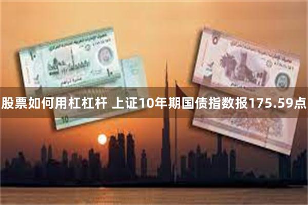 股票如何用杠杠杆 上证10年期国债指数报175.59点