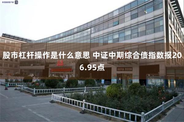 股市杠杆操作是什么意思 中证中期综合债指数报206.95点