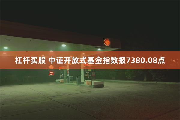 杠杆买股 中证开放式基金指数报7380.08点