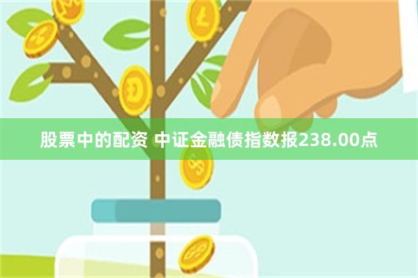 股票中的配资 中证金融债指数报238.00点