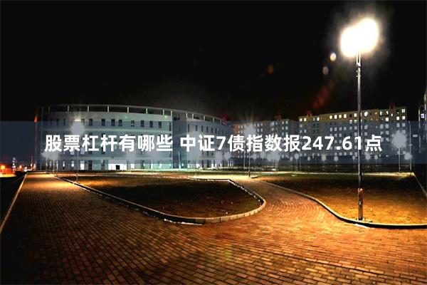 股票杠杆有哪些 中证7债指数报247.61点