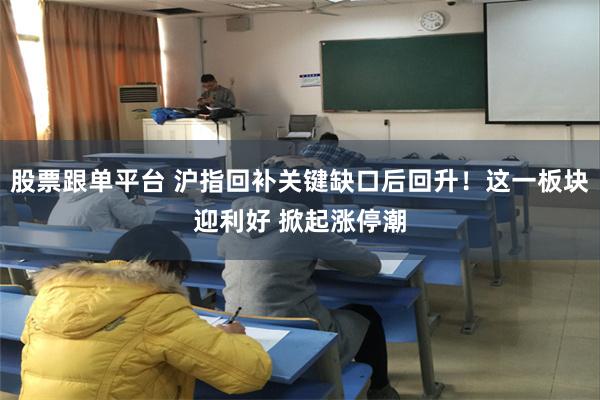 股票跟单平台 沪指回补关键缺口后回升！这一板块迎利好 掀起涨停潮