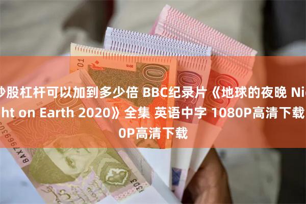 炒股杠杆可以加到多少倍 BBC纪录片《地球的夜晚 Night on Earth 2020》全集 英语中字 1080P高清下载