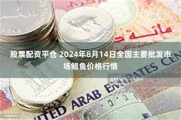 股票配资平仓 2024年8月14日全国主要批发市场鲳鱼价格行情