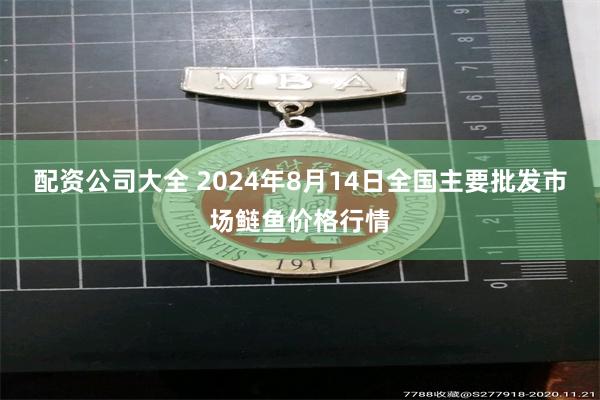 配资公司大全 2024年8月14日全国主要批发市场鲢鱼价格行情