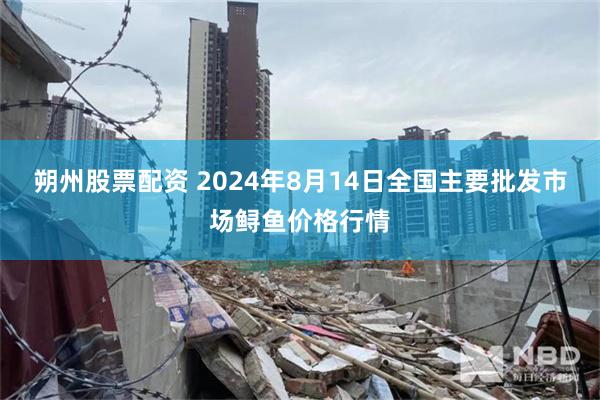 朔州股票配资 2024年8月14日全国主要批发市场鲟鱼价格行情