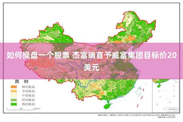 如何操盘一个股票 杰富瑞首予威富集团目标价20美元