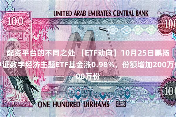 配资平台的不同之处 【ETF动向】10月25日鹏扬中证数字经济主题ETF基金涨0