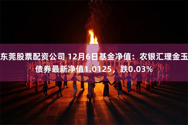 东莞股票配资公司 12月6日基金净值：农银汇理金玉债券最新净值1.0125，跌0