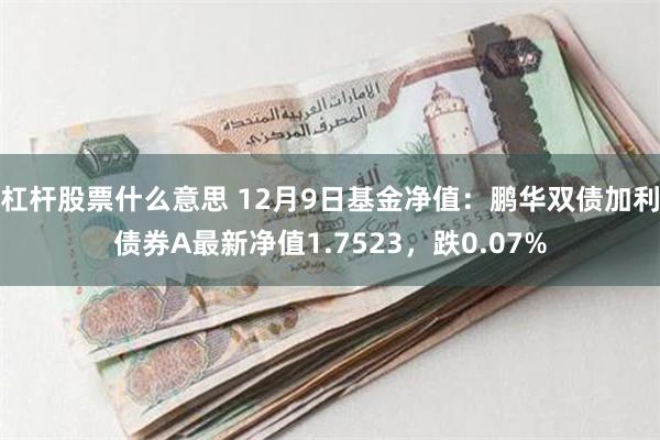 杠杆股票什么意思 12月9日基金净值：鹏华双债加利债券A最新净值1.7523，跌