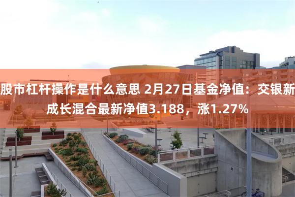 股市杠杆操作是什么意思 2月27日基金净值：交银新成长混合最新净值3.188，涨