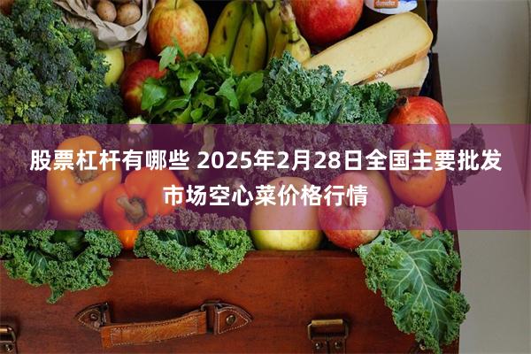 股票杠杆有哪些 2025年2月28日全国主要批发市场空心菜价格行情